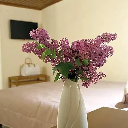 Hotel Hermes Delphi